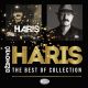Haris Dzinovic - The best of collection